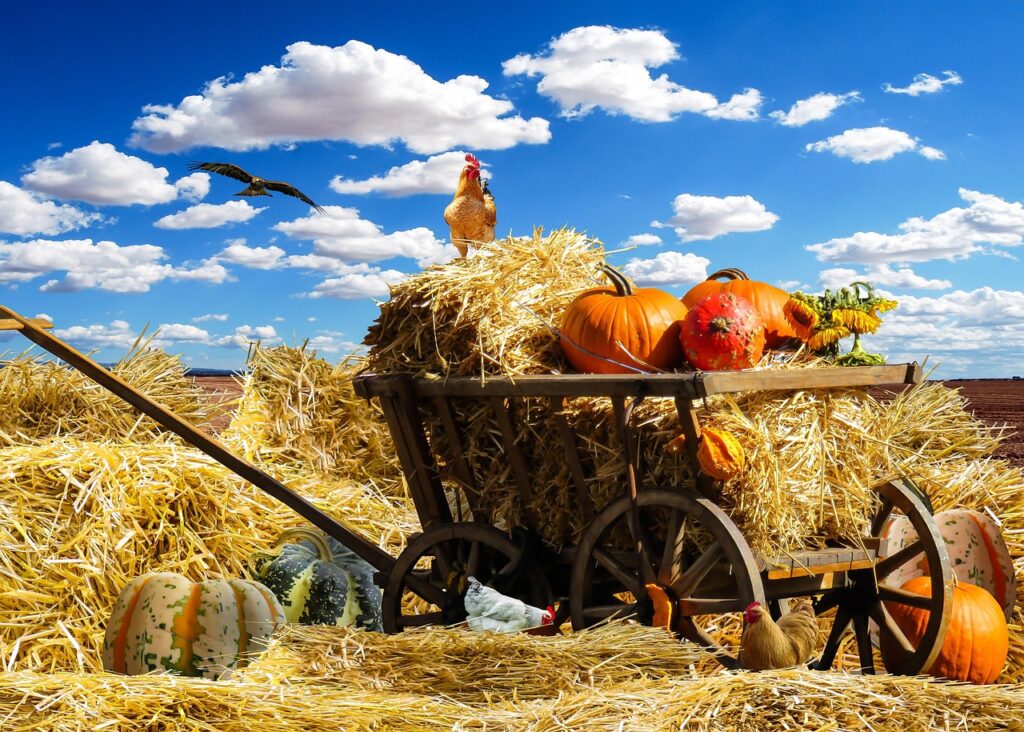thanksgiving, fall, pumpkin, harvest, september, end of summer, straw, straw bales, cart, chicken, hen, faucet, eagle, clouds, heaven, fruit, nature, agriculture, rural, farmers, image editing, composing